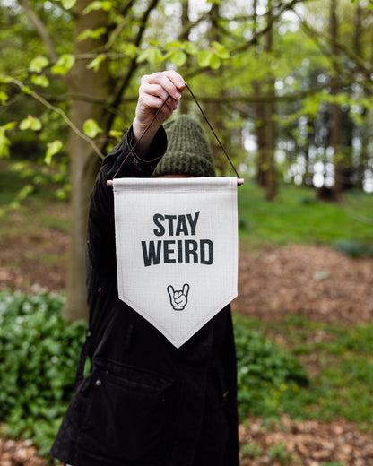 STAY WEIRD - PENNANT FLAG