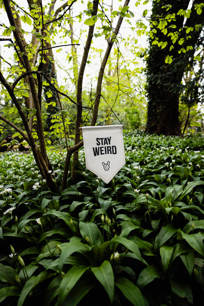 STAY WEIRD - PENNANT FLAG